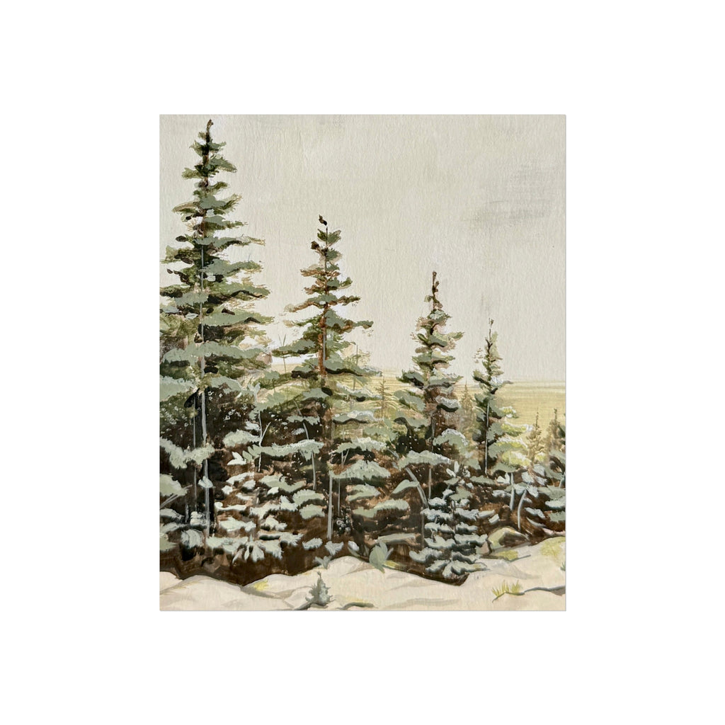 ‘Winter Pines’ Print