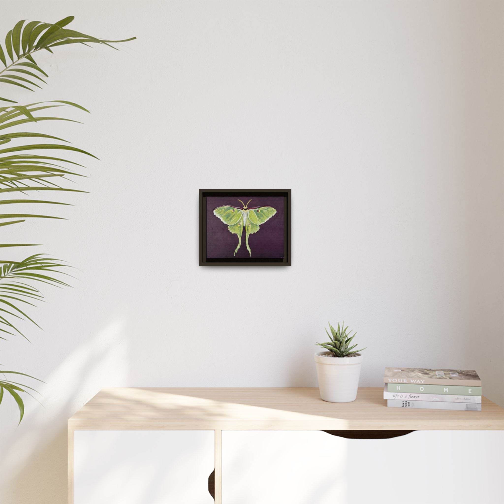 Luna Moth (Framed Canvas)
