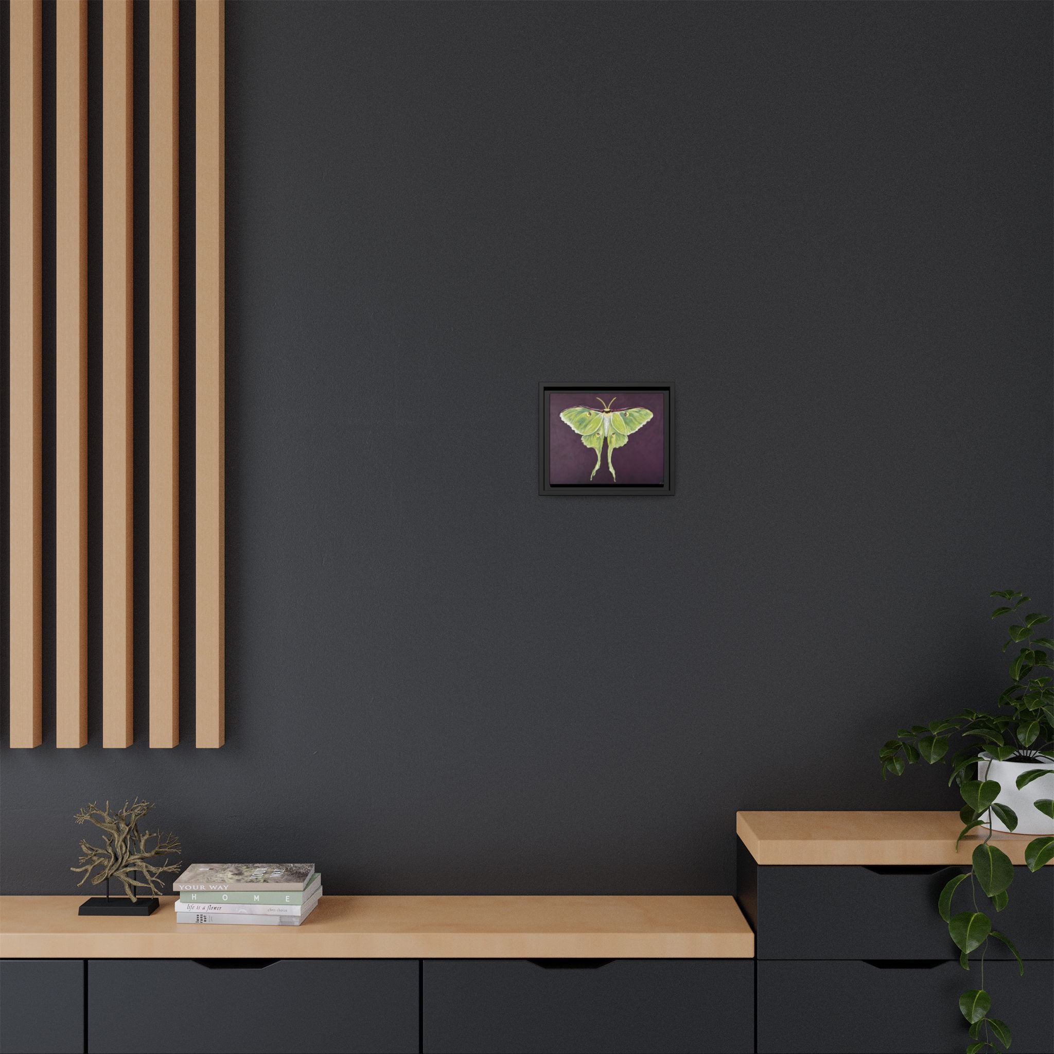 Luna Moth (Framed Canvas)