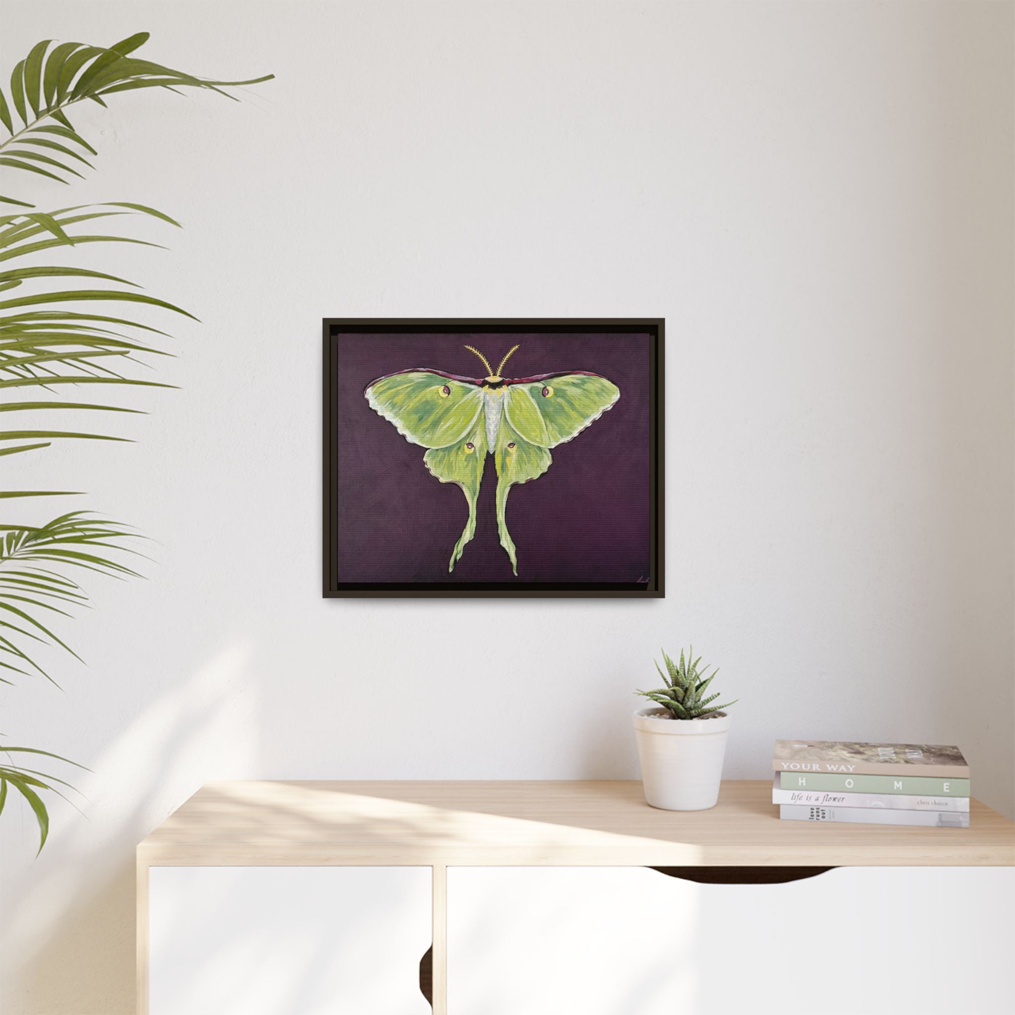 Luna Moth (Framed Canvas)