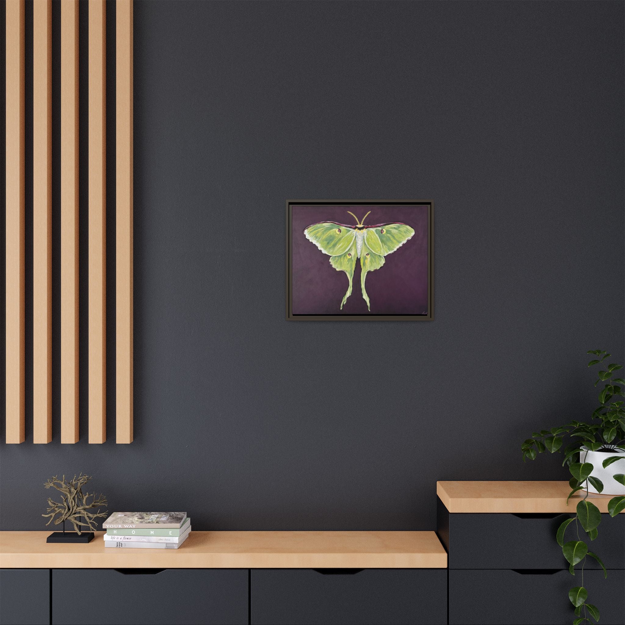Luna Moth (Framed Canvas)